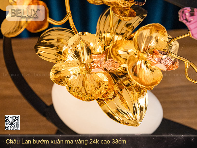 Chậu Lan Bướm Mạ Vàng